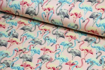 Modal - Flamingo - apricot-rosa